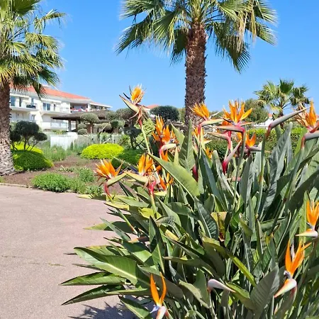 Bel En Bord De Avec Piscine Lagon Et Jardin, En Securisee شقة *