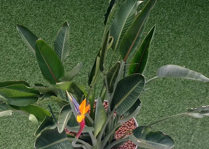 Bel En Bord De Avec Piscine Lagon Et Jardin, En Securisee