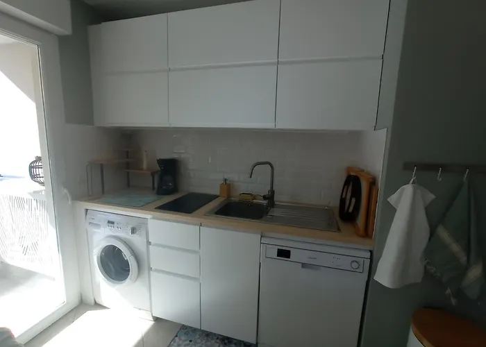 Bel En Bord De Avec Piscine Lagon Et Jardin, En Securisee Antibes
